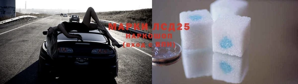 стафф Осташков