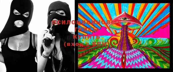 стафф Осташков